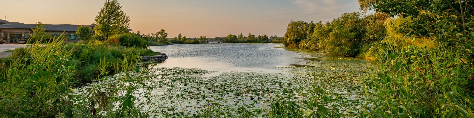 lakeglenview